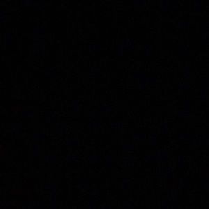 Meet your Posher, Tyson